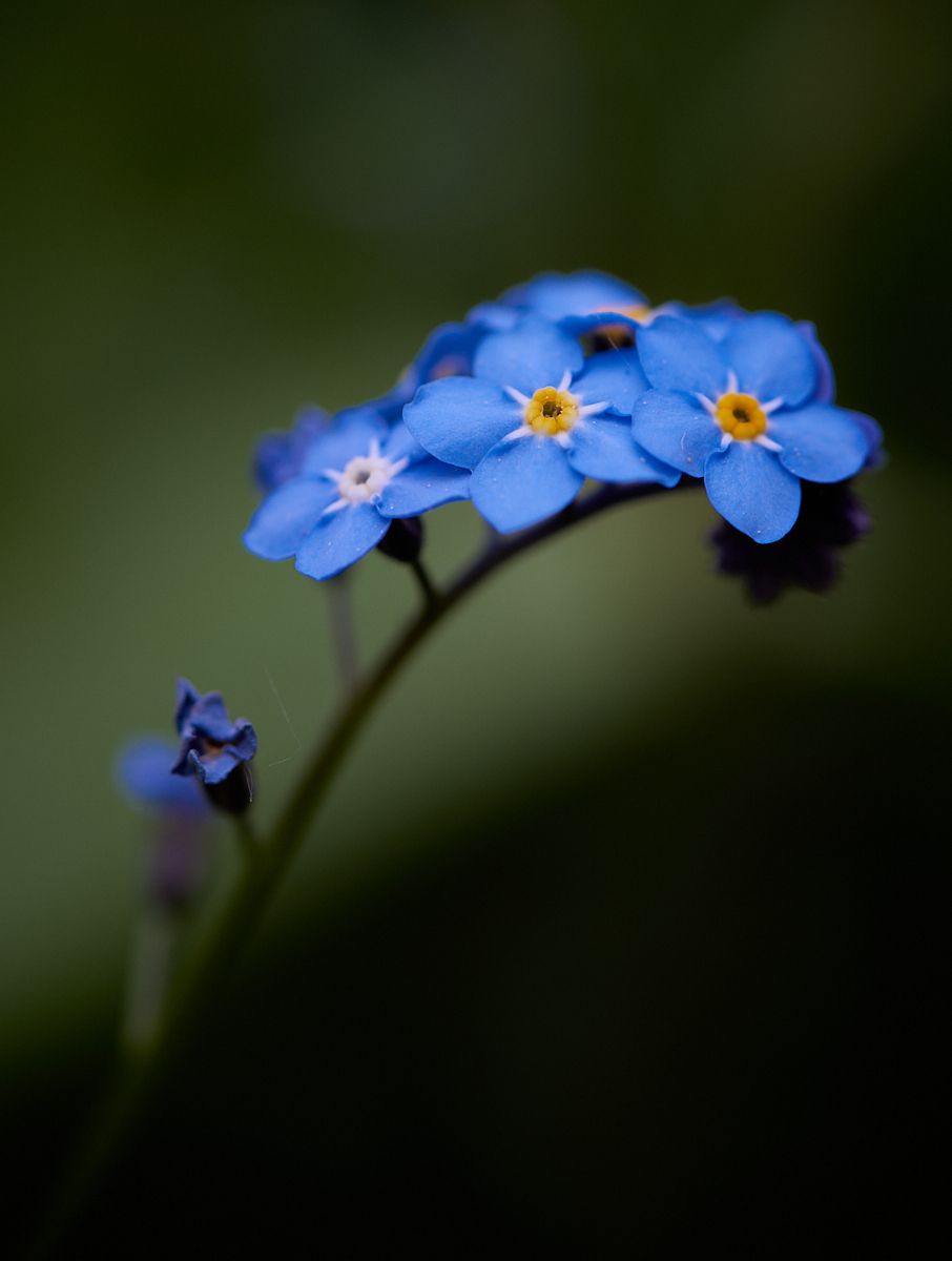0509_1556_D8H_8090 1.jpg