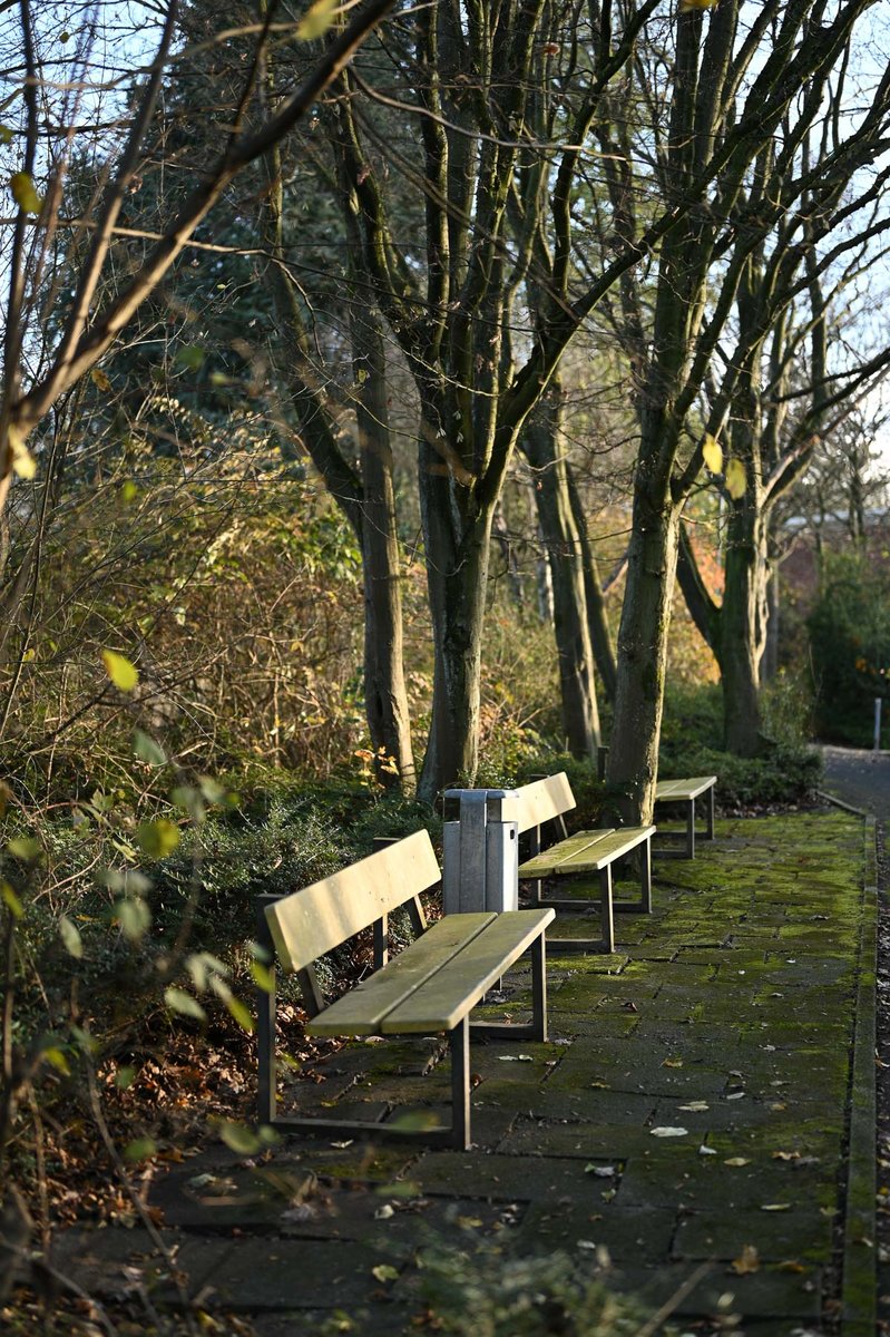 051-20201129132937.jpg