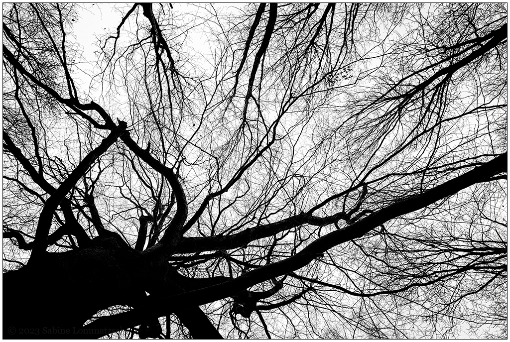 053 Friedwald I