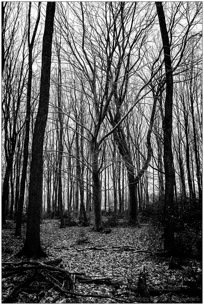 054 Friedwald II