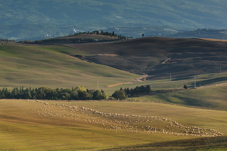 05420091014 172205  DSC5640Toskana