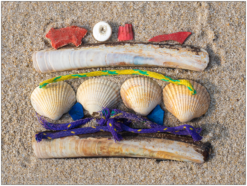 055 Strandgutpoesie