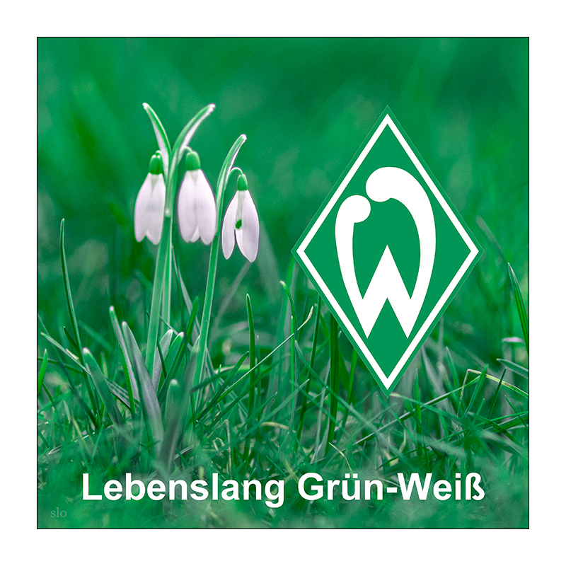 056 Lebenslang Grün-Weiß