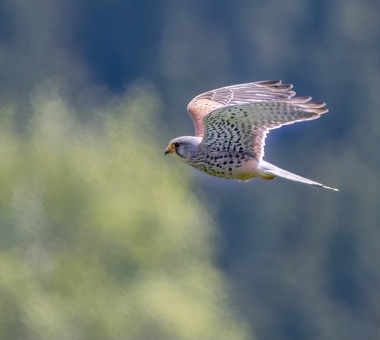 056623BC-F15E-4D96-A722-D02463124F71.jpeg