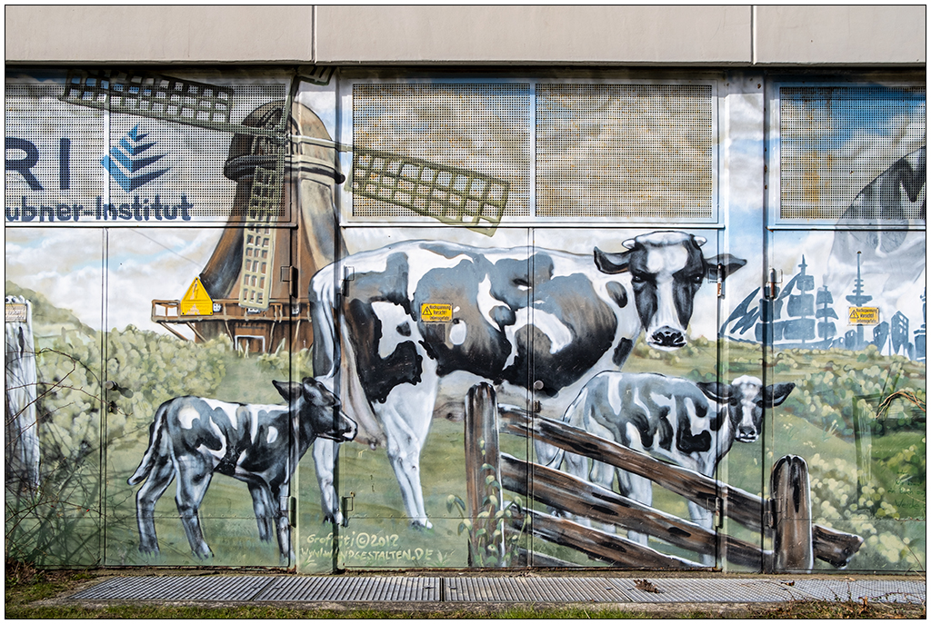 059 Kuh-Graffiti am Max Rubner-Institut in Kiel