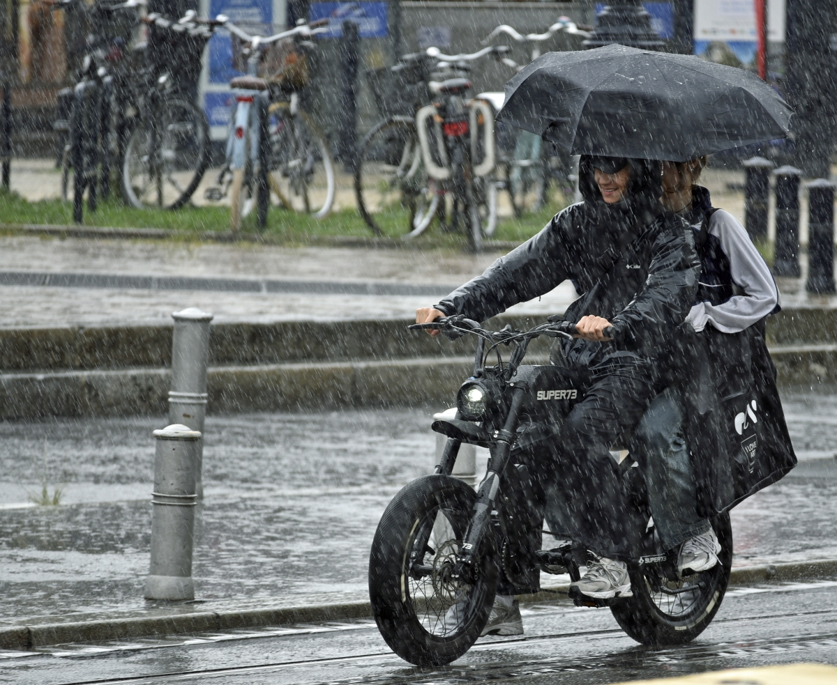 05_regen.jpg