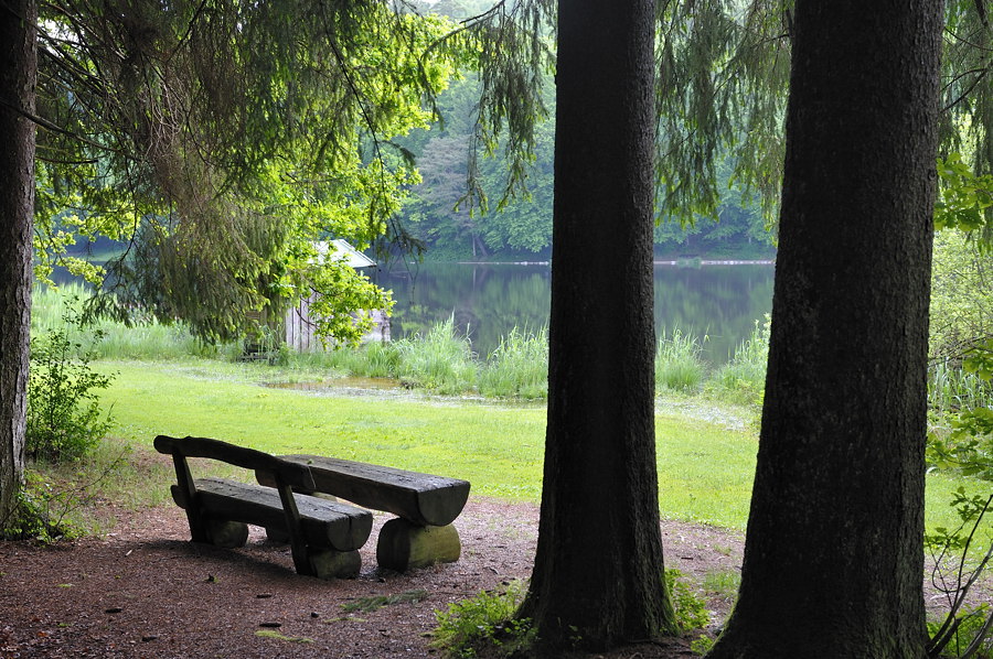06 20100604 113536 Deininger Weiher
