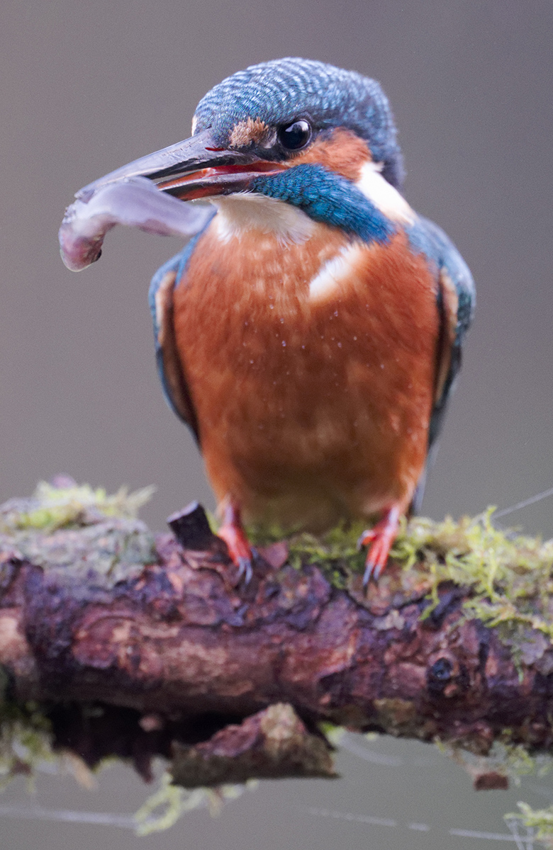06 400mm f-2.8.jpg