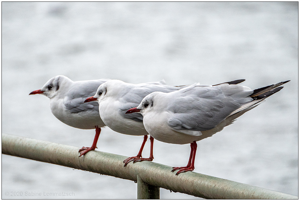 060 Und rechts!