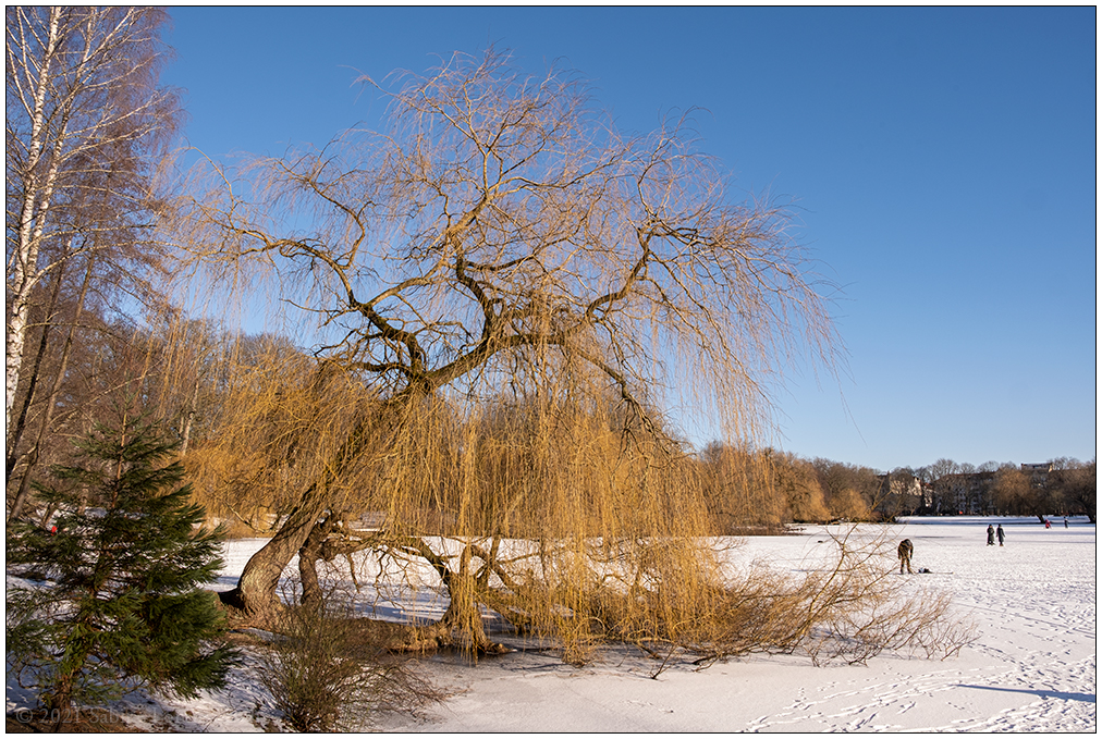 065 Schrevenpark am Vormittag mit Wintersonne