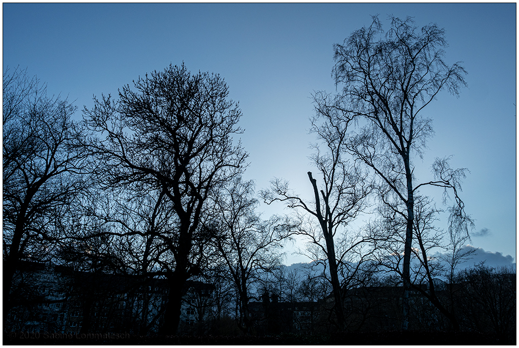 065 Schrevenpark im Februar