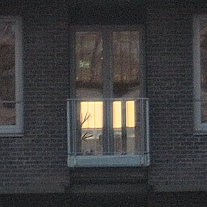 067 crop