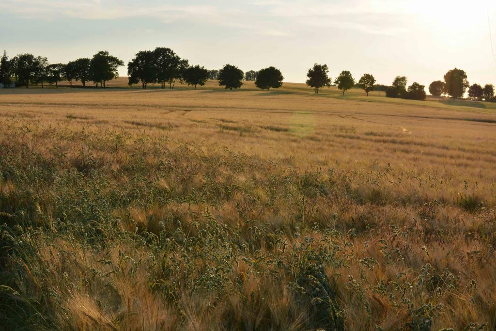 07 07 2013 Wehneberg 15 2