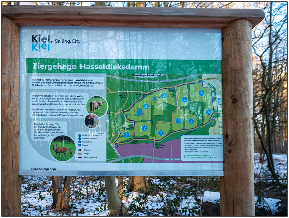 070 Tiergehehe Hasseldieksdamm Infotafel