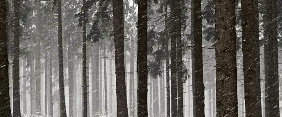 071114 Schnee 05a