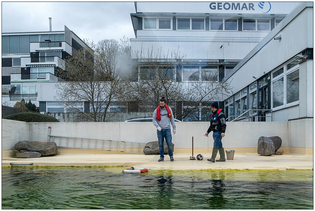 075 Kiellinie – Aquarium Geomar Seehundbecken Fütterung I