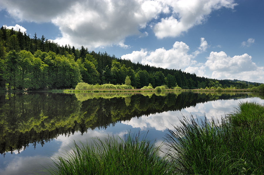 08 20100604 115011 Deininger Weiher