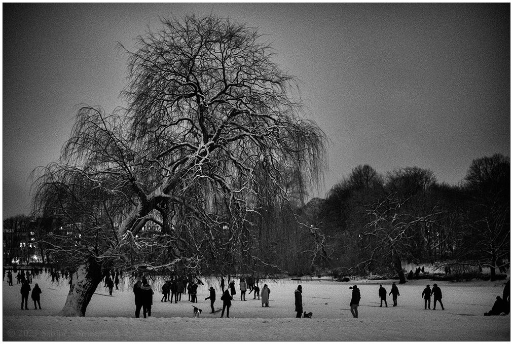 081 Schrevenpark – Abendspaziergang im Neuschnee IV