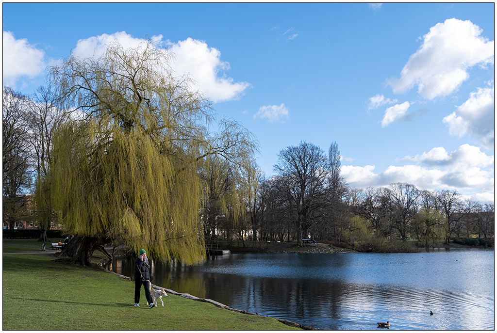 081 Sonntag mit Hund im Schrevenpark
