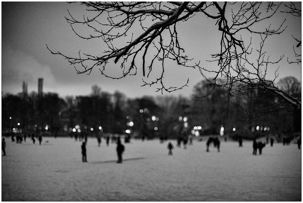 082 Schrevenpark – Abendspaziergang im Neuschnee V