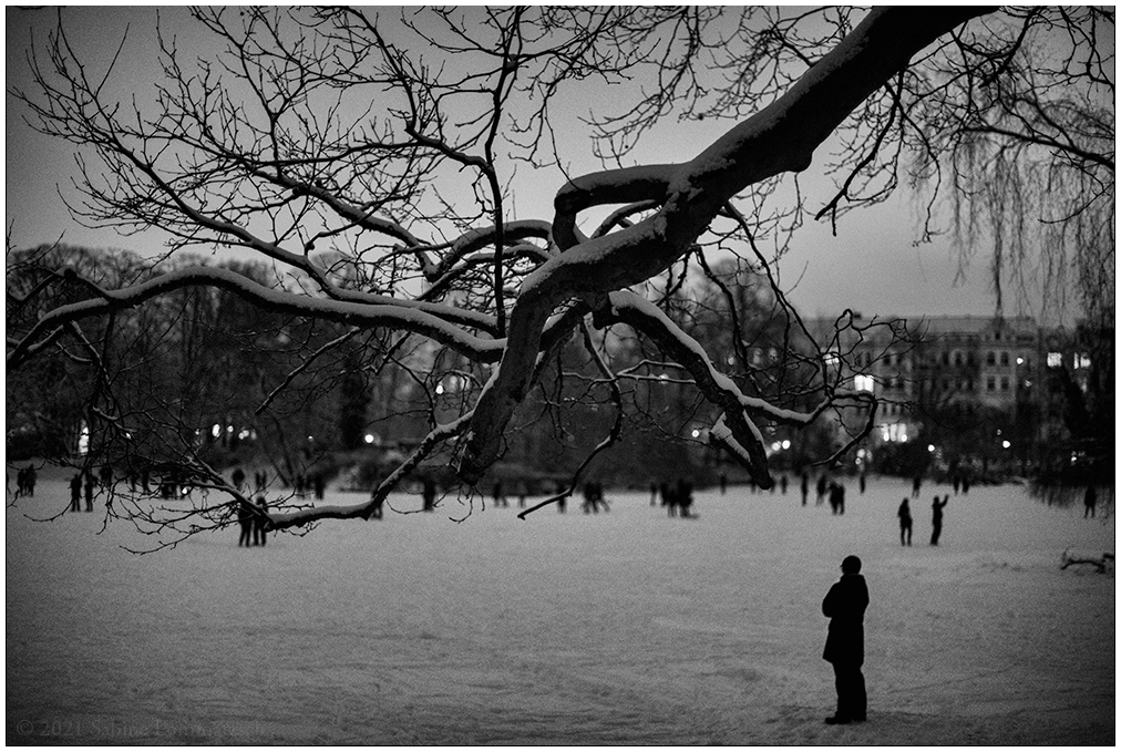 083 Schrevenpark – Abendspaziergang im Neuschnee VI