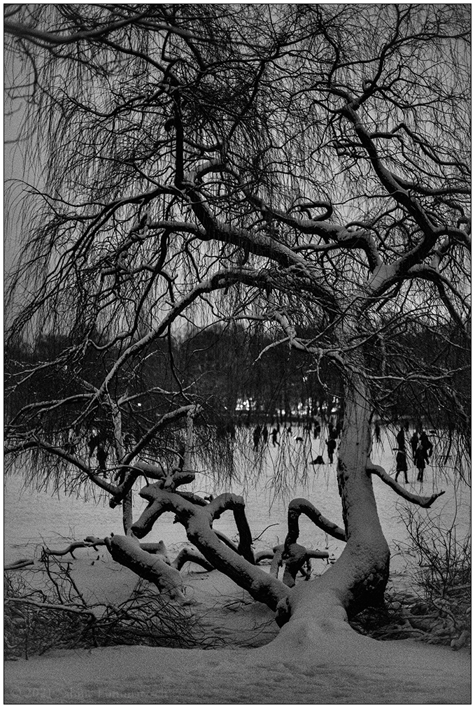 084 Schrevenpark – Abendspaziergang im Neuschnee VII