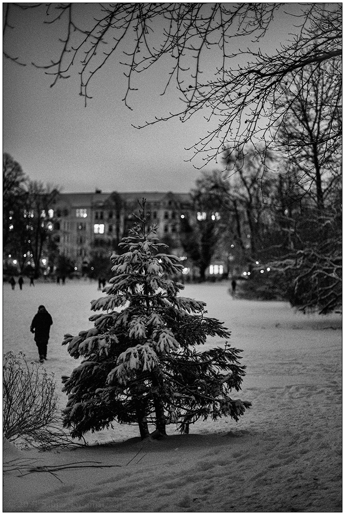 085 Schrevenpark – Abendspaziergang im Neuschnee VIII
