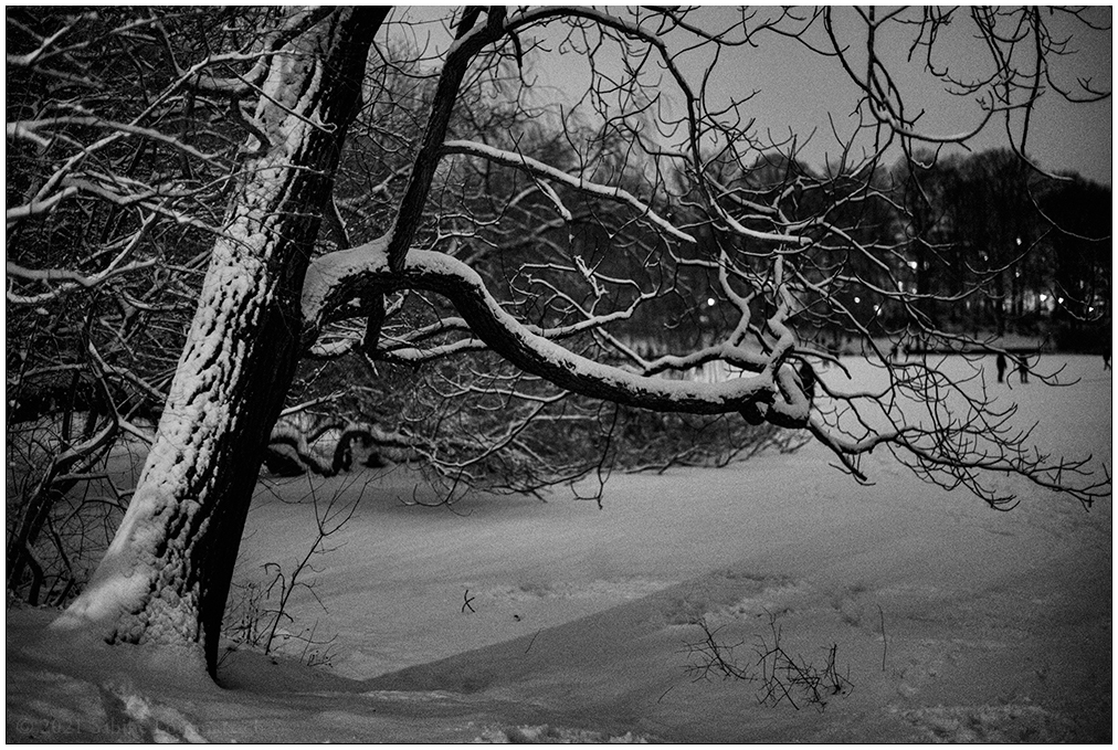 086 Schrevenpark – Abendspaziergang im Neuschnee IX