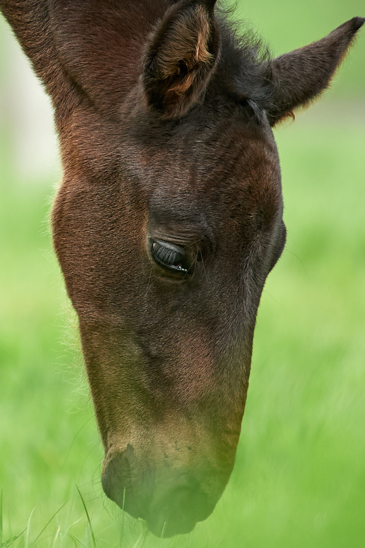 090517DSC 6899 1