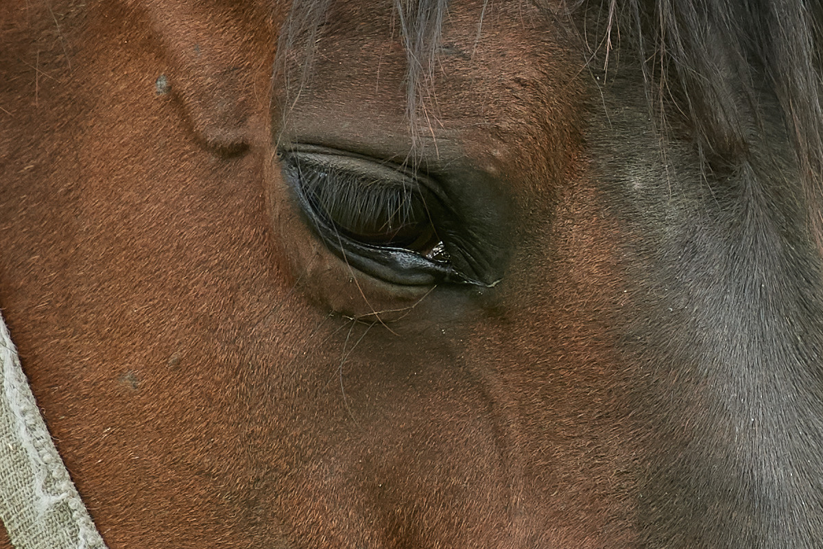 090517DSC 6995 1