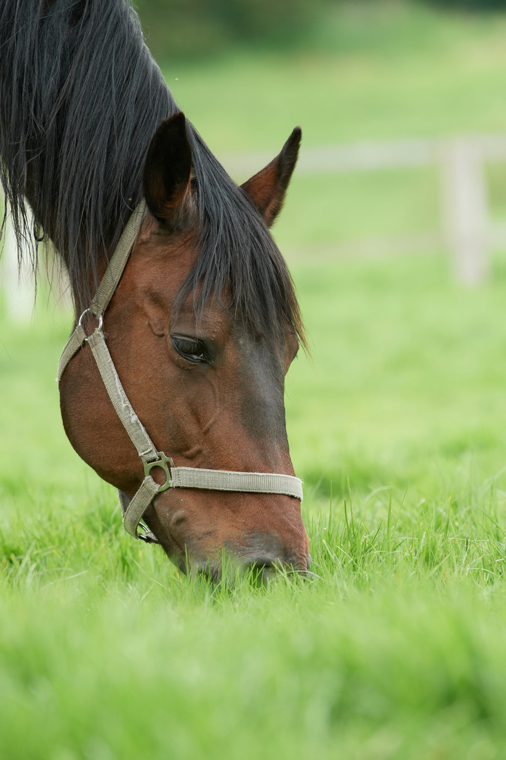 090517DSC 6995