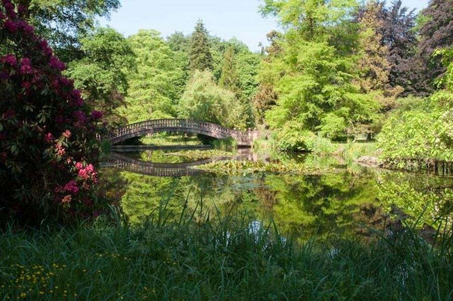 090523 0002 Schloss Wolfsgarten 2009
