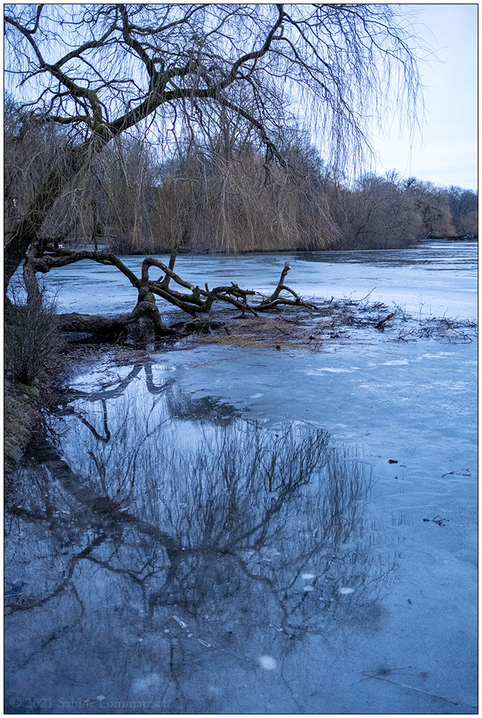 094 Schrevenpark – Rest vom Winterfest