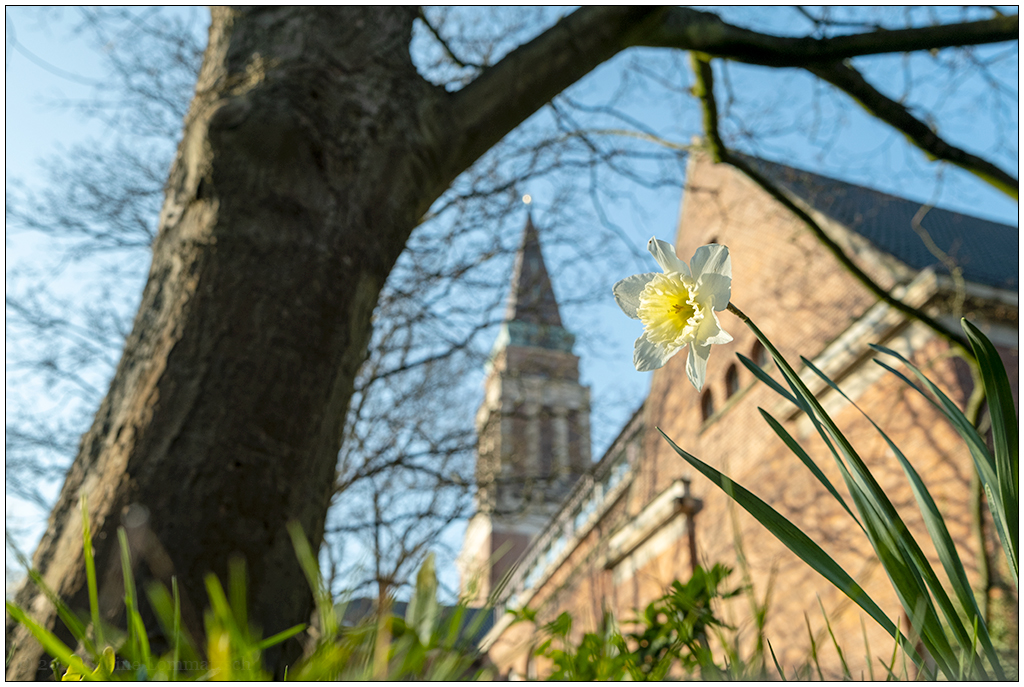 098 Frühling am Kieler Rathaus