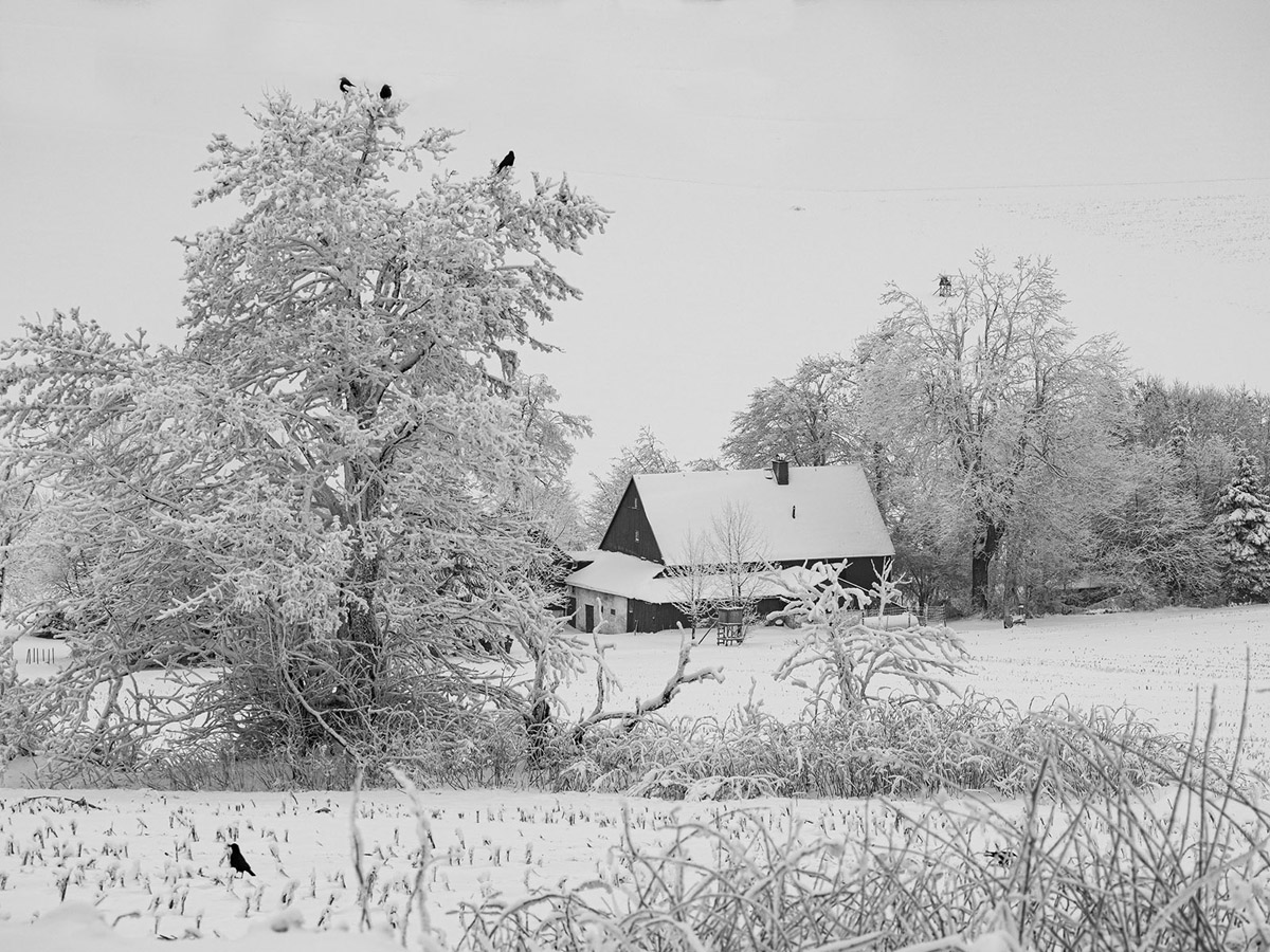 0M110826x.jpg