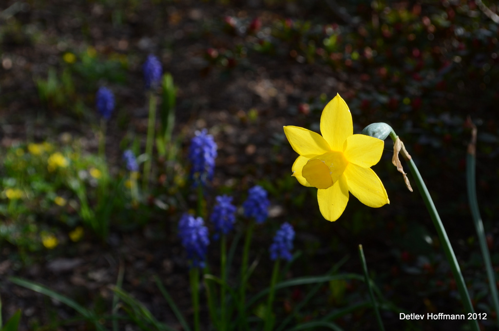 1 DSC 0256