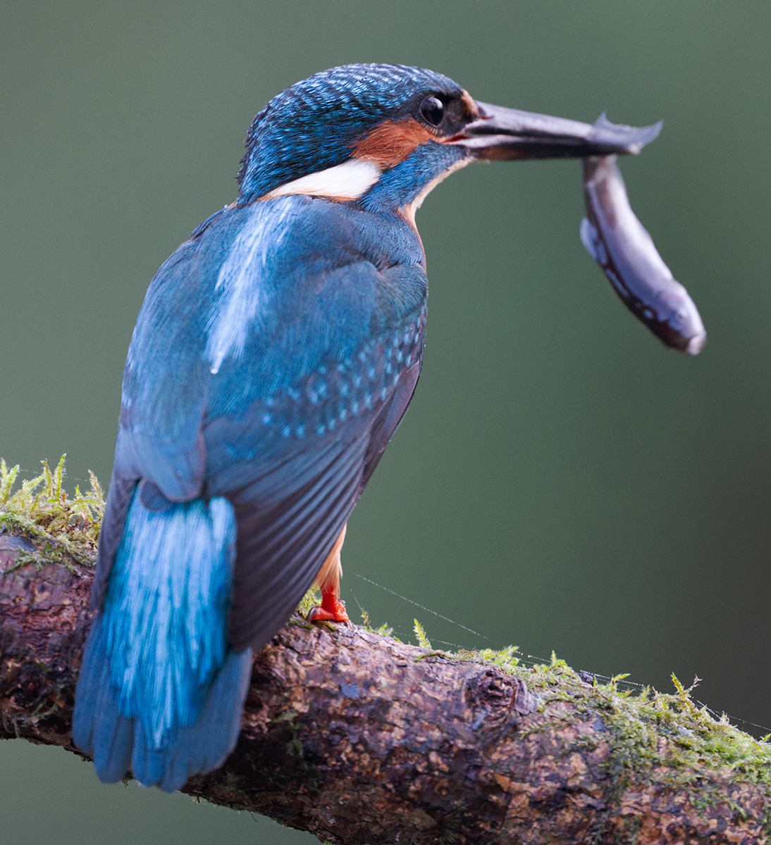 10 400mm f-2.8.jpg