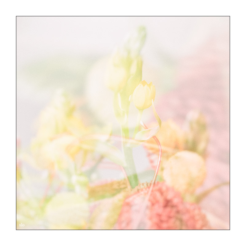 10/52
