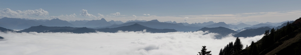 10 comp 1Steineberg P 4 4Steineberg P 1