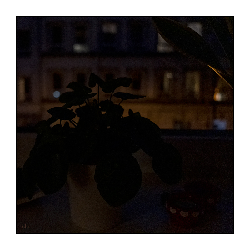 100/365