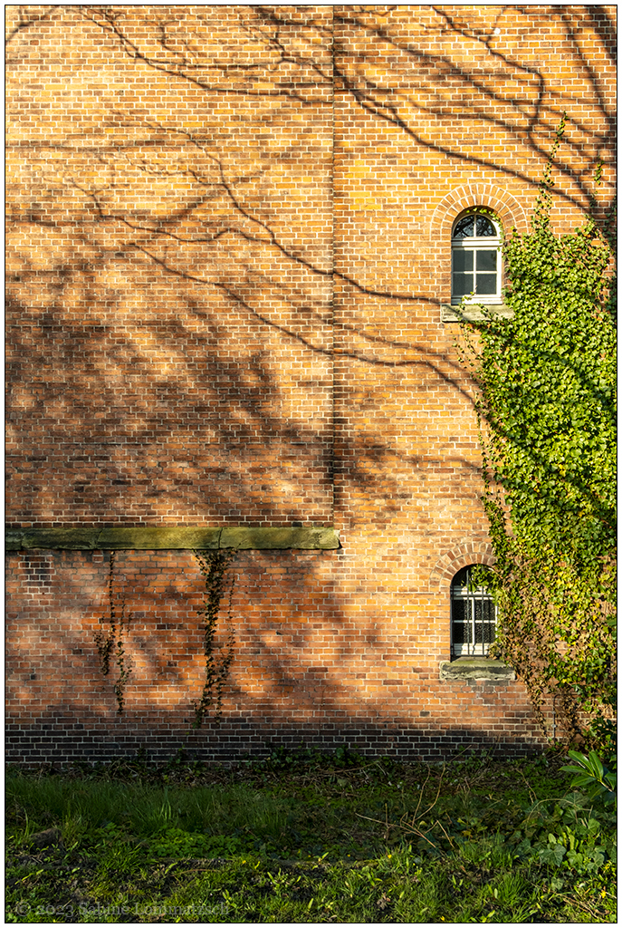 100 Baumschatten II