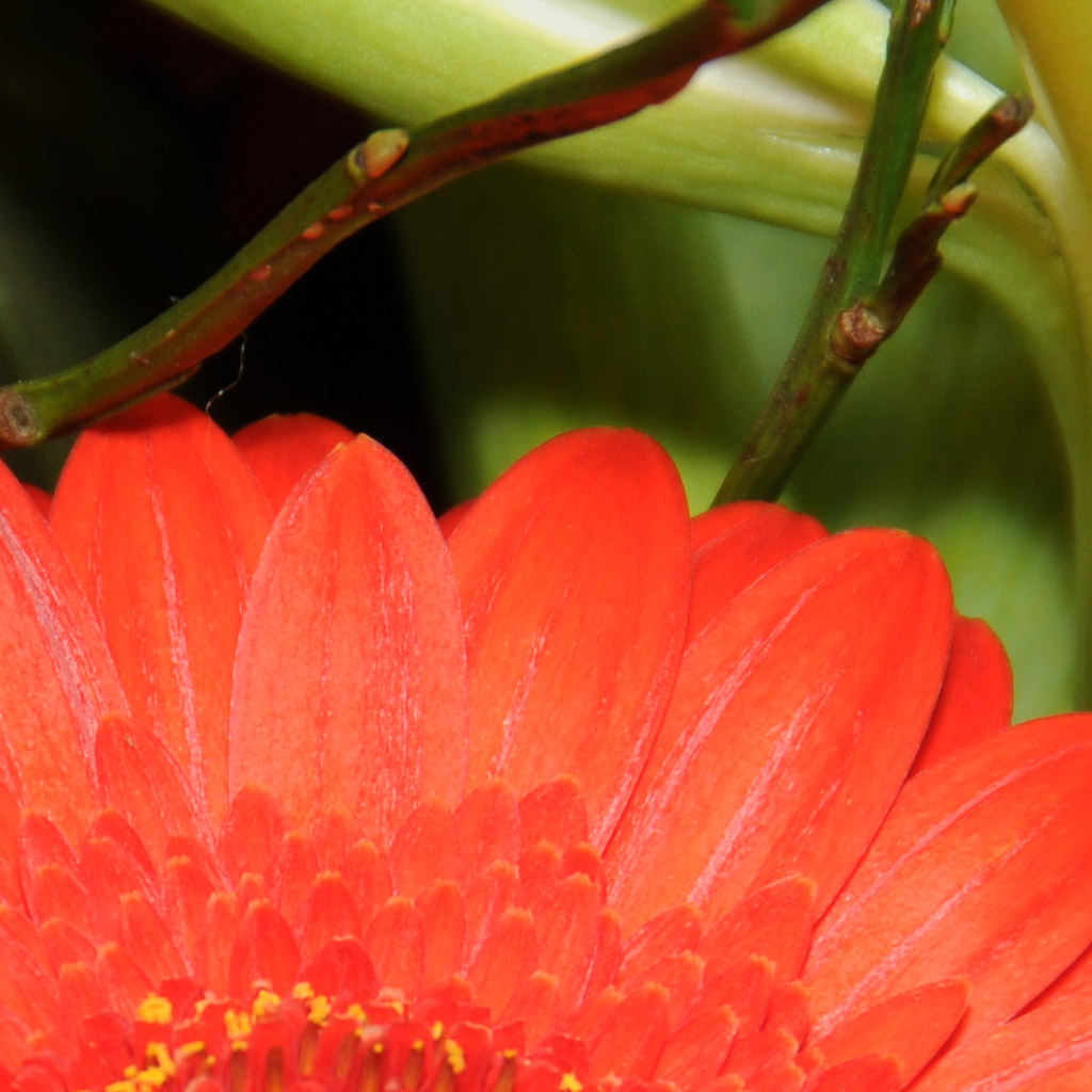 100% Crop manuelle Belichtung 1/30 f1:8