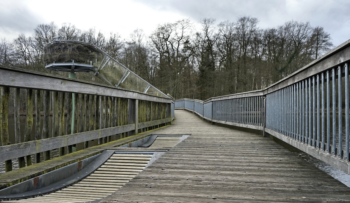 100 m Erlebnisfußgängerbrücke.jpg
