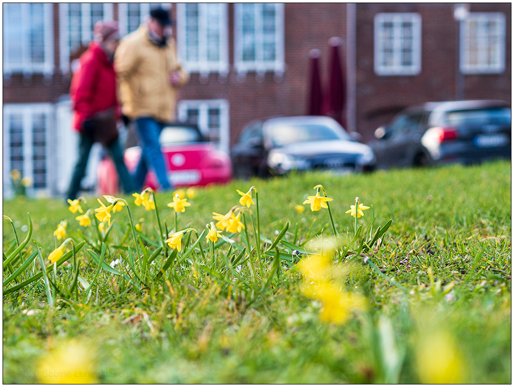 101 Frühlingsspaziergang