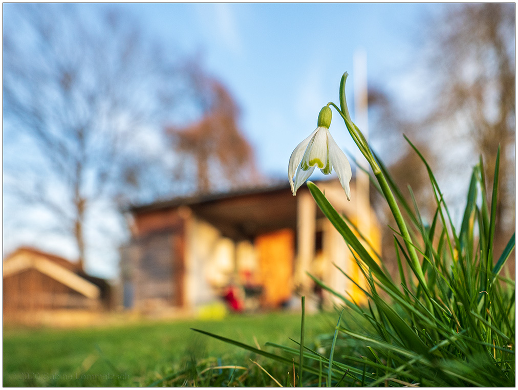 102 Frühlingssonne im Schrebergarten