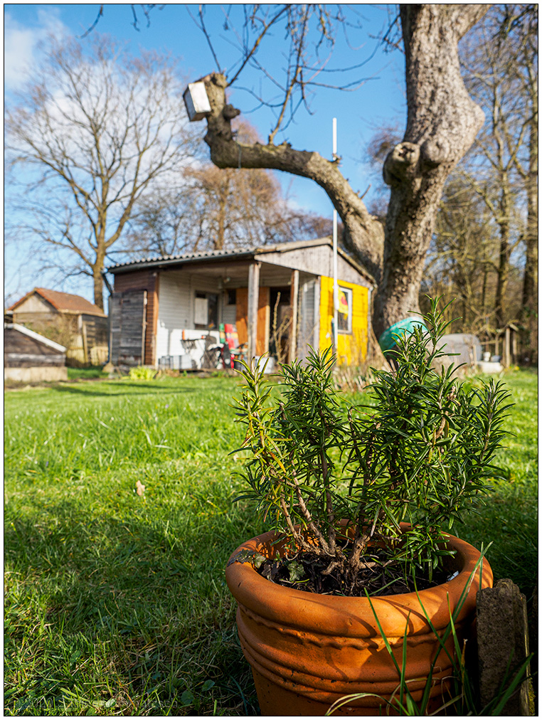 103 Sonne im Schrebergarten