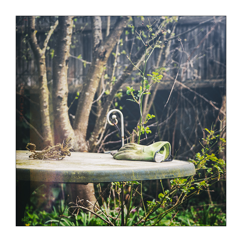 105/365 Moby (feat. Damien Jurado) – Almost Home © 2026 Sabine Lommatzsch
