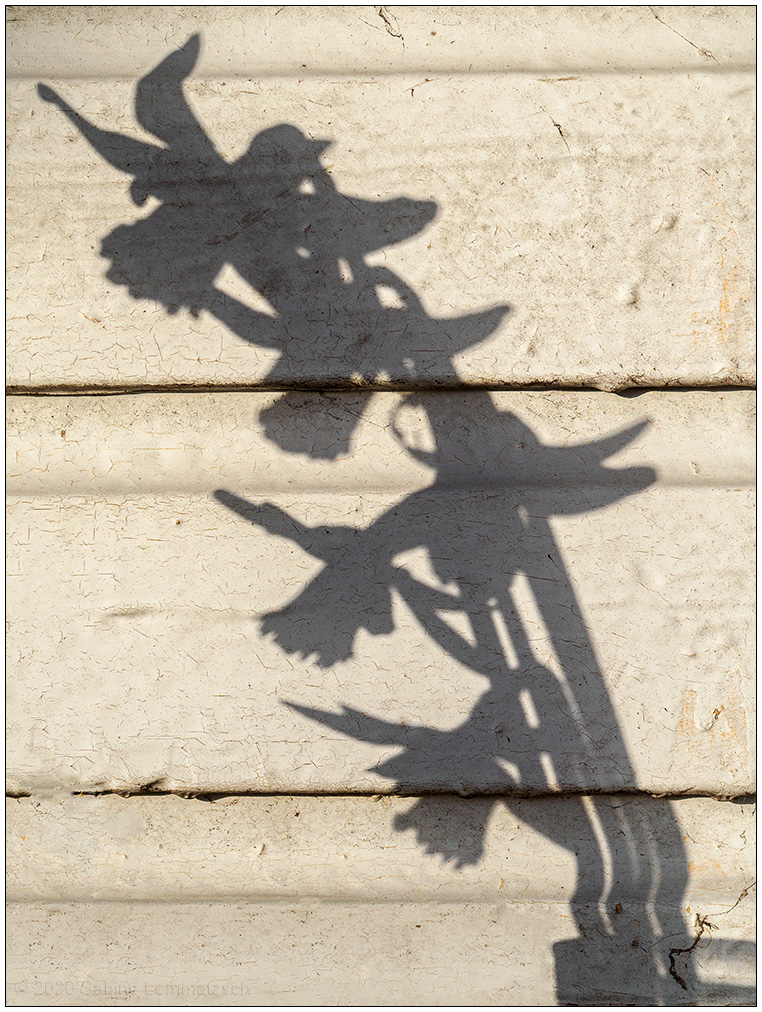 107 Schattenspiel