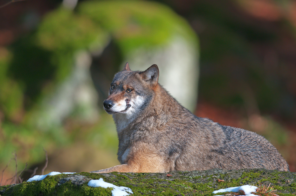 10M 6593 bearbeitet 1