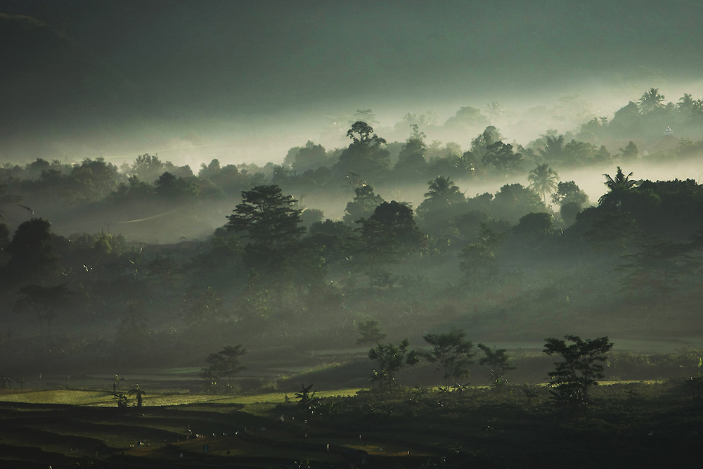 11 06 04Sentul001